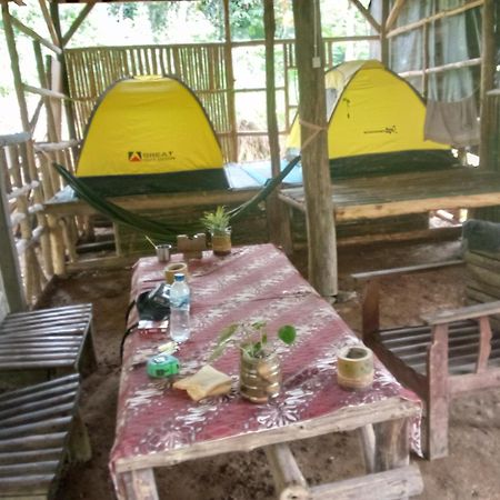 Landak River Guest House Only Trekking With Us Bukit Lawang Exterior foto