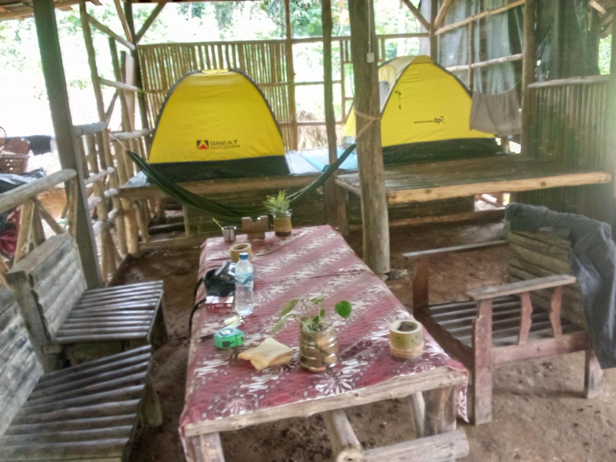 Landak River Guest House Only Trekking With Us Bukit Lawang Exterior foto