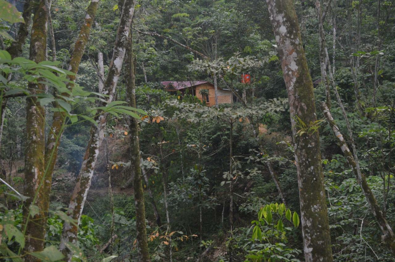 Landak River Guest House Only Trekking With Us Bukit Lawang Exterior foto
