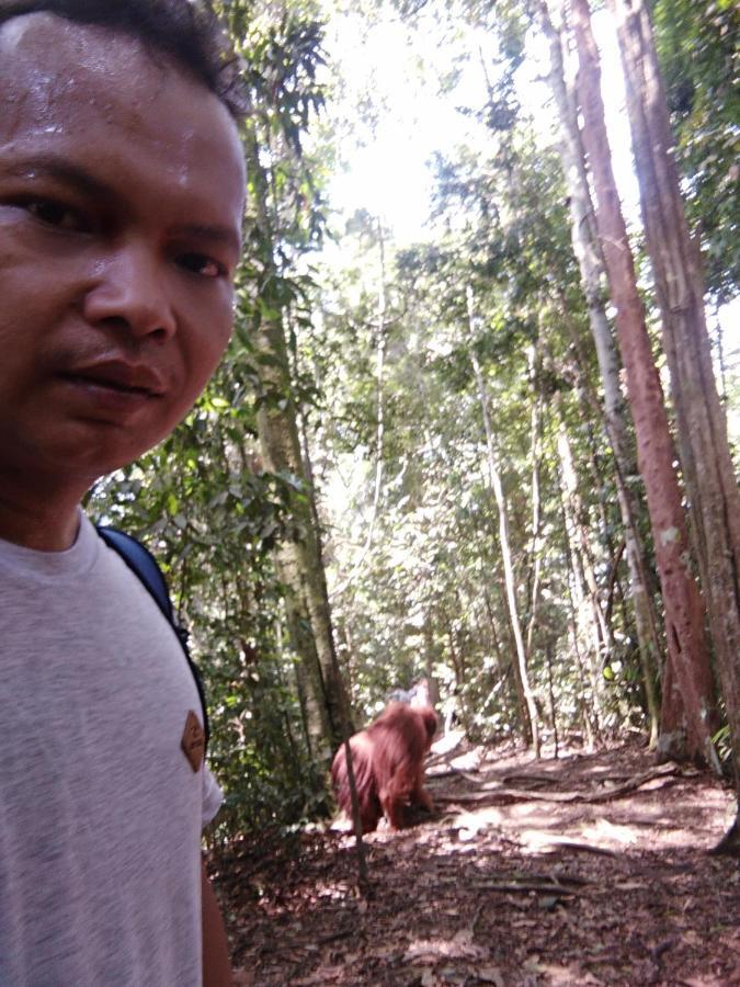 Landak River Guest House Only Trekking With Us Bukit Lawang Exterior foto
